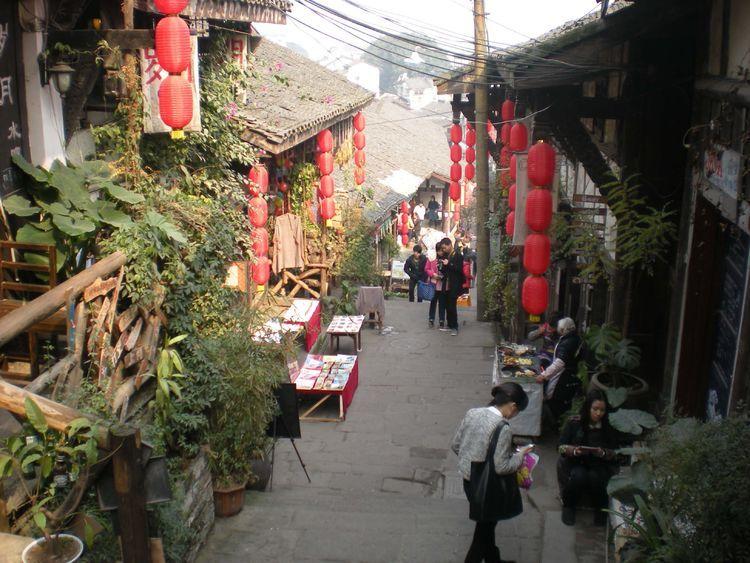 茫茫雪原